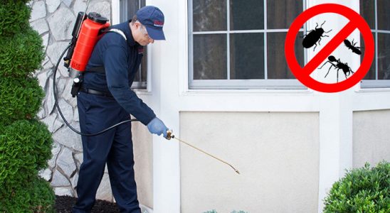 Doğubayazıt Haşere İlaçlama böcek ilaçlama ve haşere kontrolü — ilaclama-tr.com